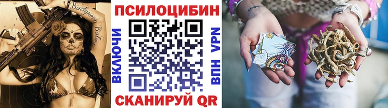 Псилоцибиновые грибы мицелий Купить Чкаловск